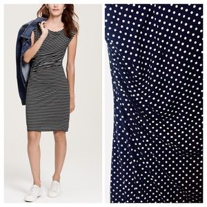 Navy polka dot Ann Taylor LOFT dress